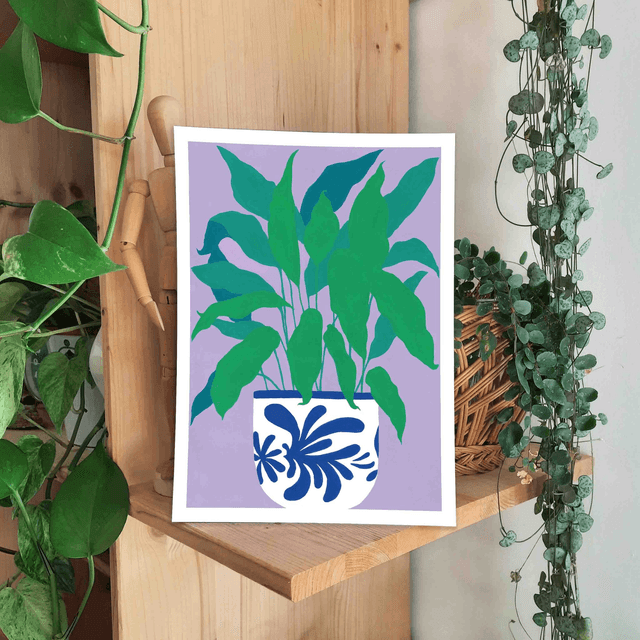 Print "Plante d'intérieur 1"