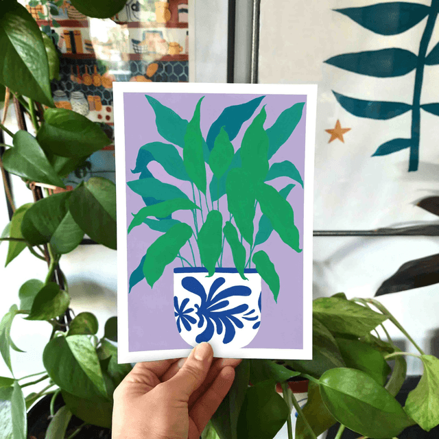 Print "Plante d'intérieur 1"