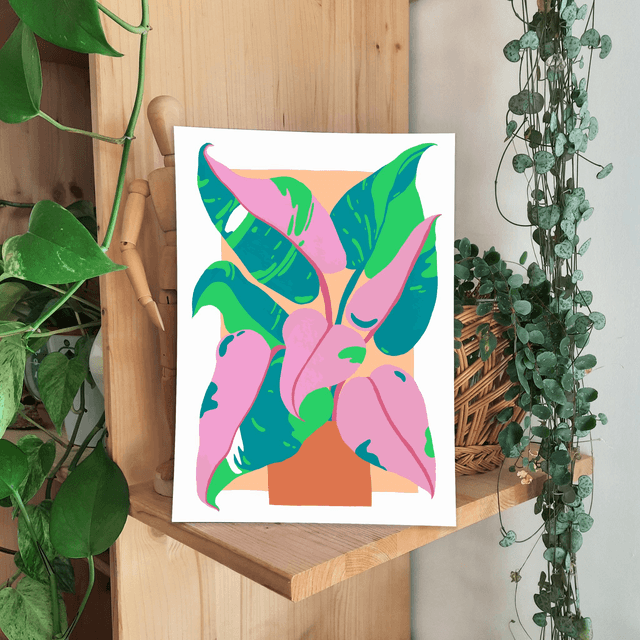 Print "Philodendron rose"