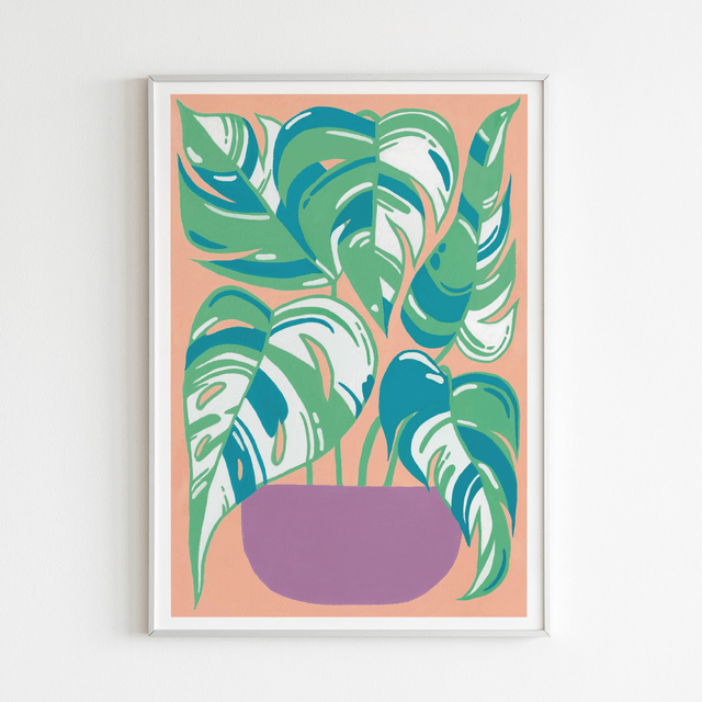 Print "Monstera albo"