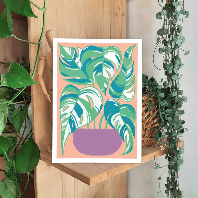 Print "Monstera albo"